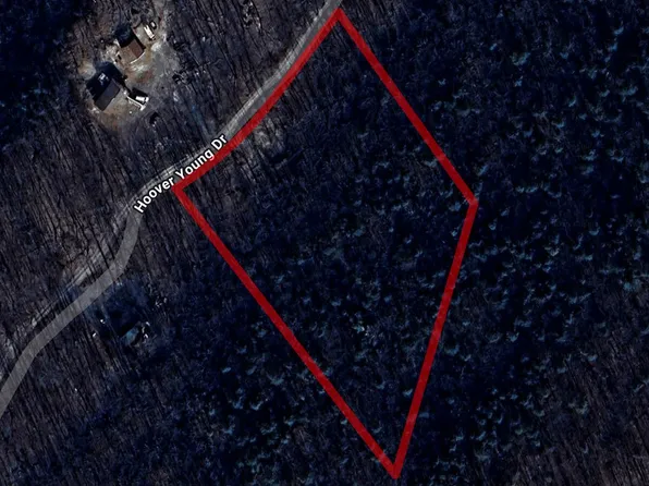 600 Hoover Young Dr, Capon Bridge, WV 26711