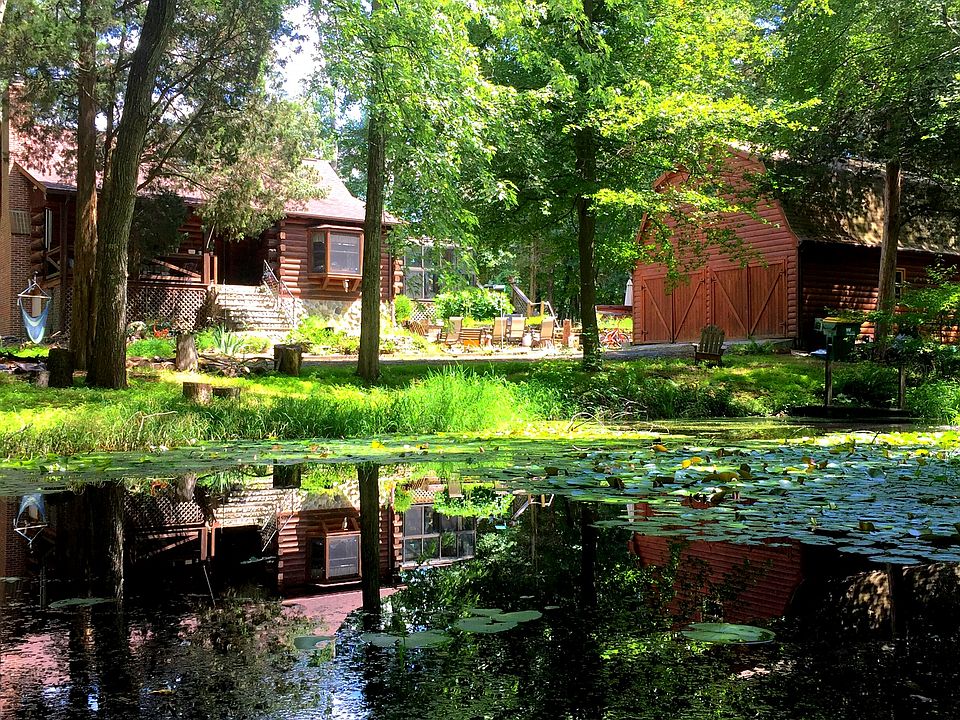 View from the pond