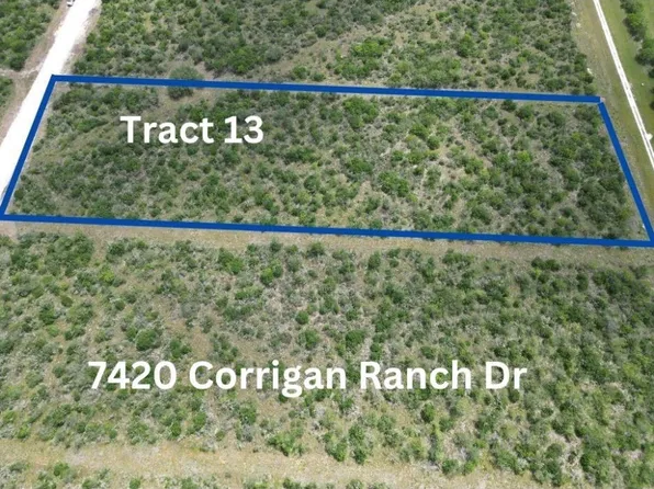 (undisclosed Address), Skidmore, TX 78389