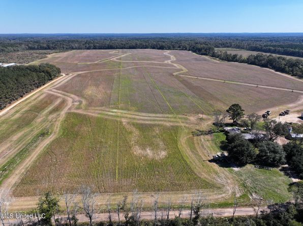 2088 Swamp Ln, Hazlehurst, MS 39083