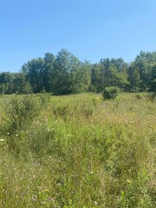 W North County Line Rd, Lake, MI, 48632