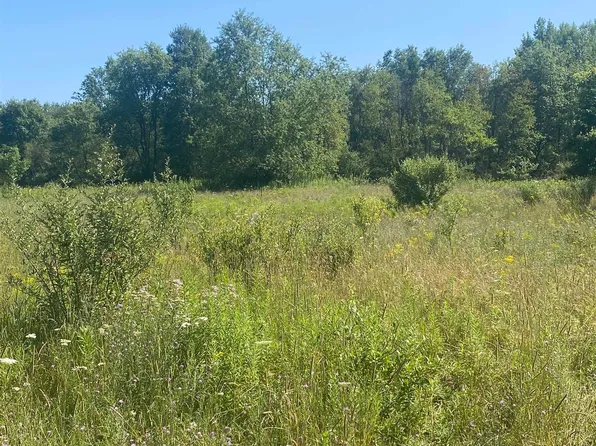 W North County Line Rd, Lake, MI 48632