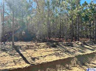 Harold Funderburke Ln, Hartsville, SC 29550