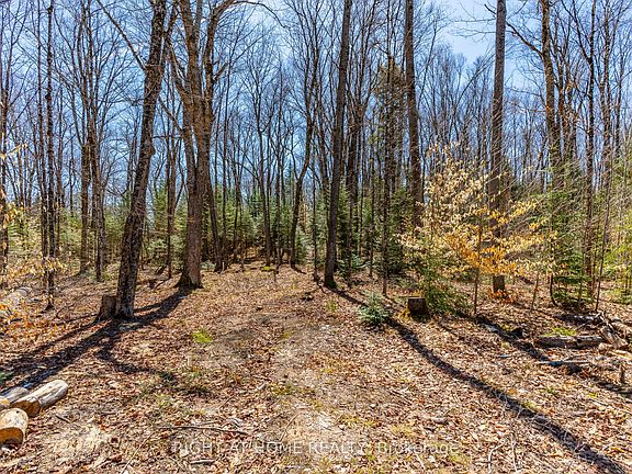 5th image of 1066 Loop Rd