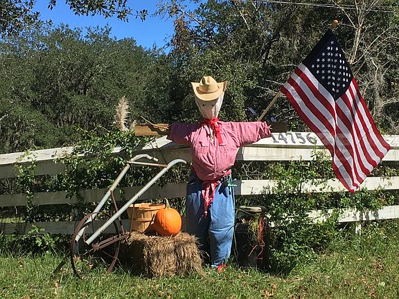 Country yet city living