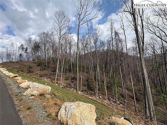 3rd image of TBD Angelfire Trail