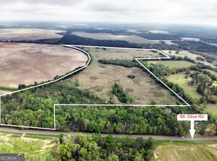 5854 Mount Olive Rd, Pelham, GA 31779