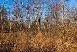 4th image of 0 White Oak Rd Lot 17