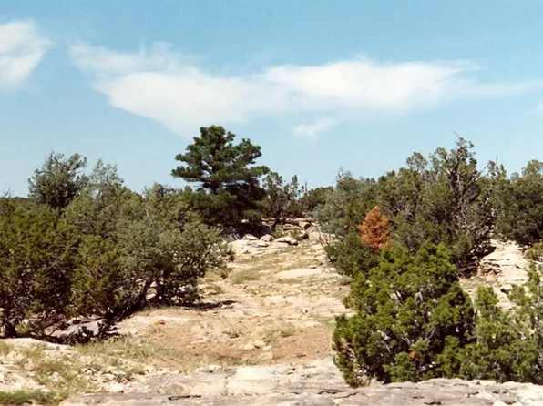 198 Tyrone Hills, Walsenburg, CO 81089