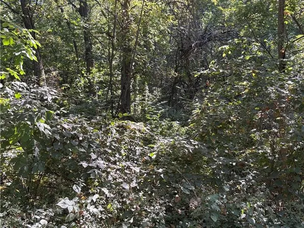 Poplar St, Lawson, MO 64062