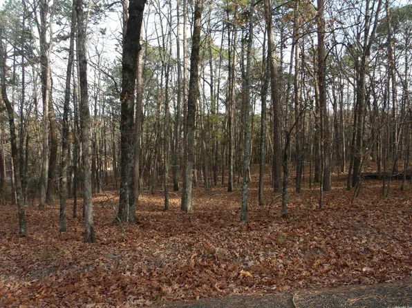 0 Lake Ice Rd, Higden, AR 72067