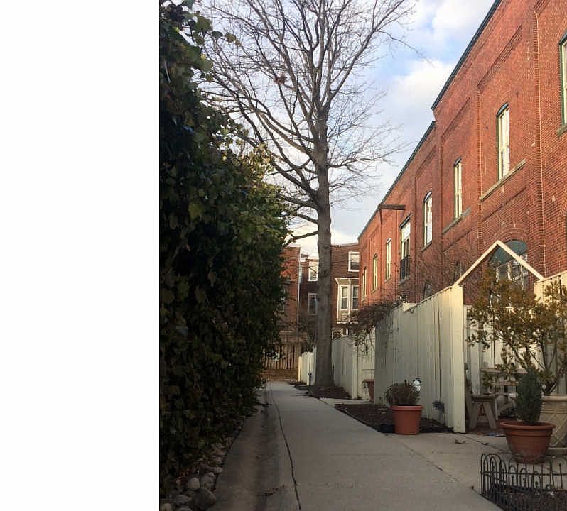 1st image of 870 N 28th St APT 108