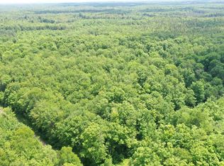 /levine Rd, Ogema, WI 54459