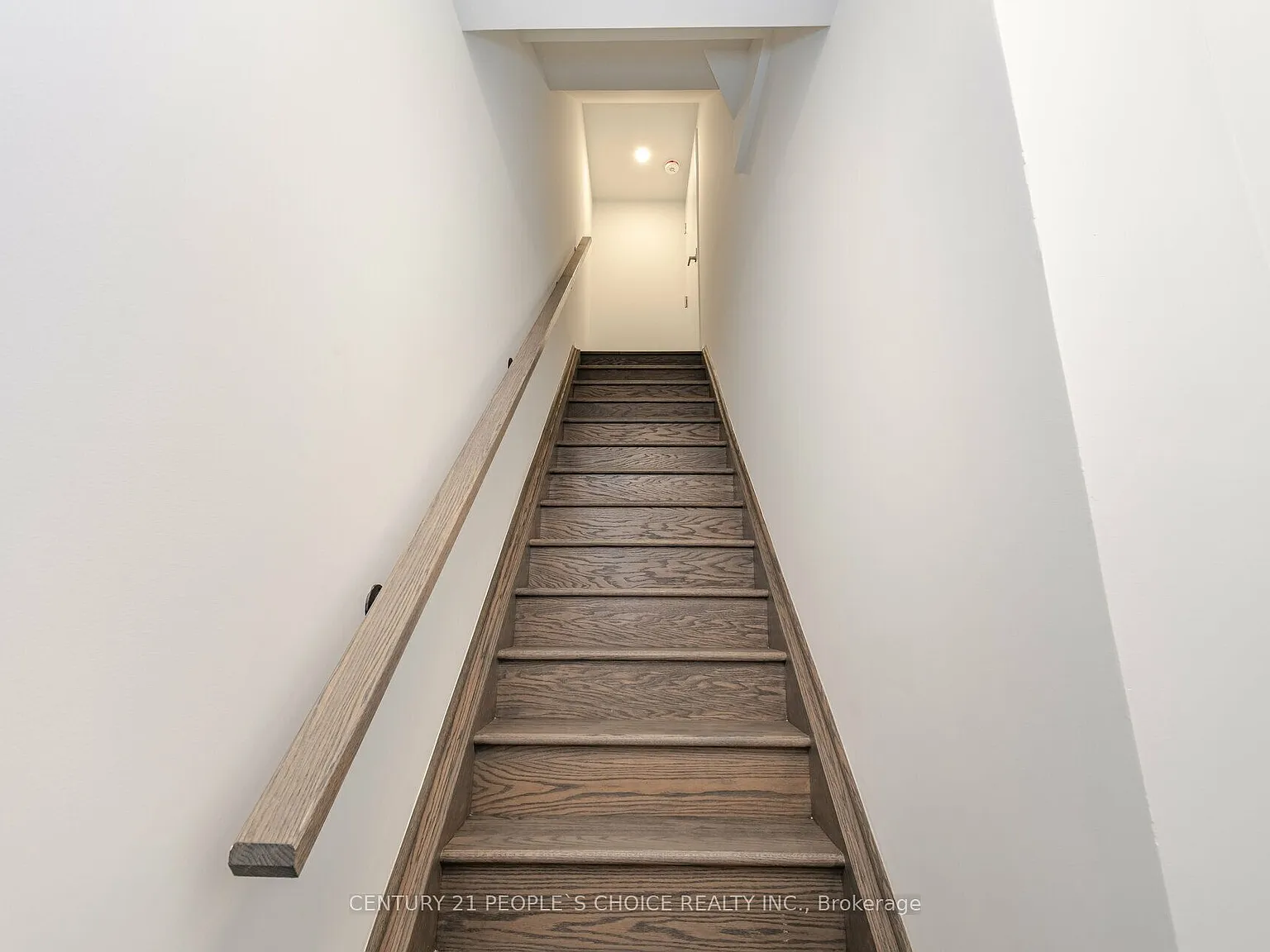 3 bed, $3,100 — Photo 4