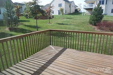 Deck & Yard