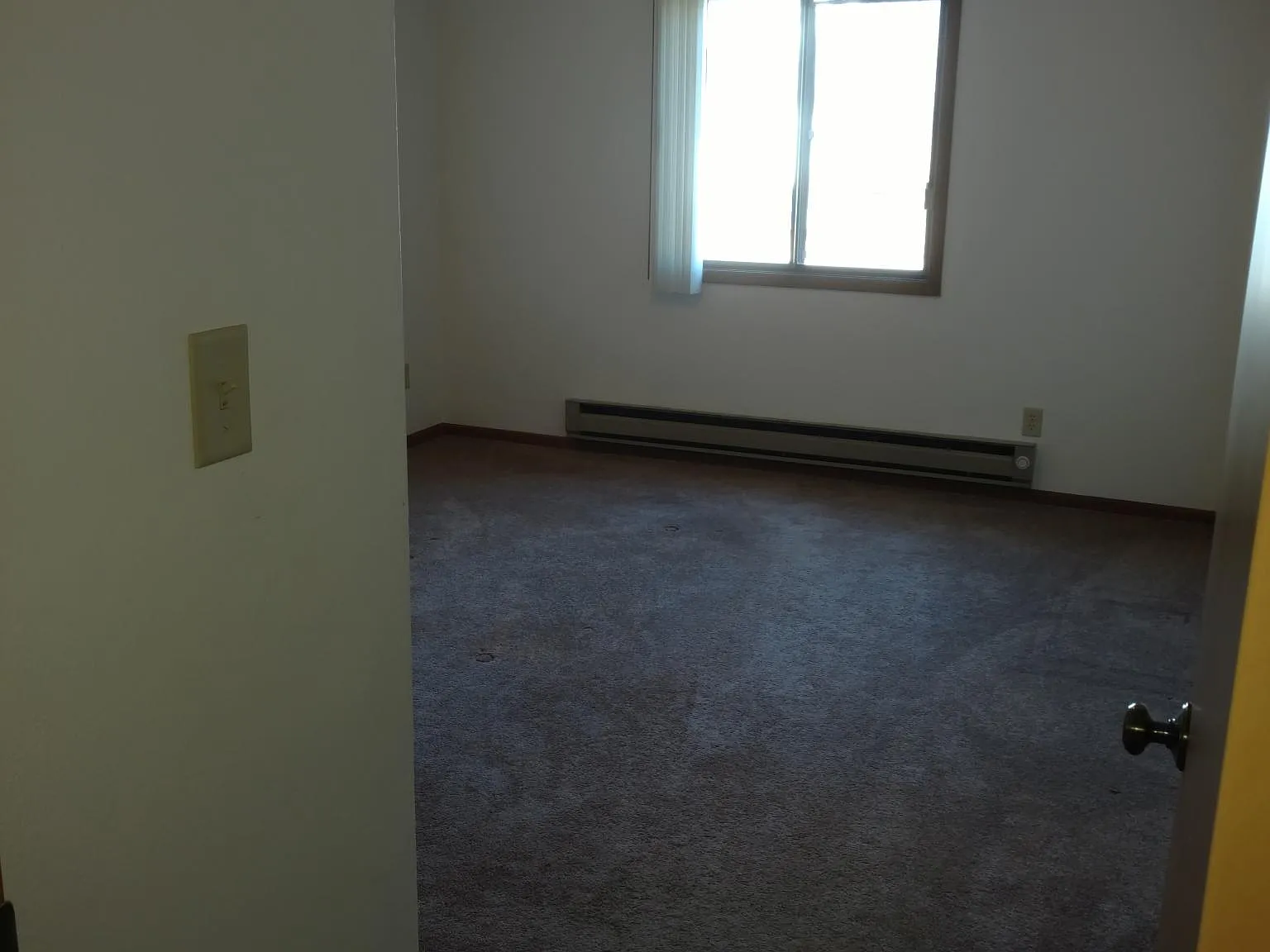 405 Alexander St — Photo 4
