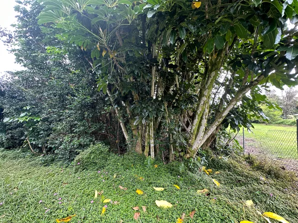 Maikoiko St Lot 21, Pahoa, HI 96778