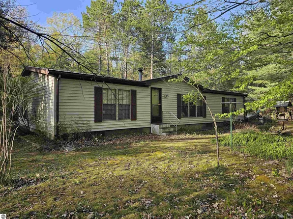 11572 Centrailia Ave NE, Kalkaska, MI 49646