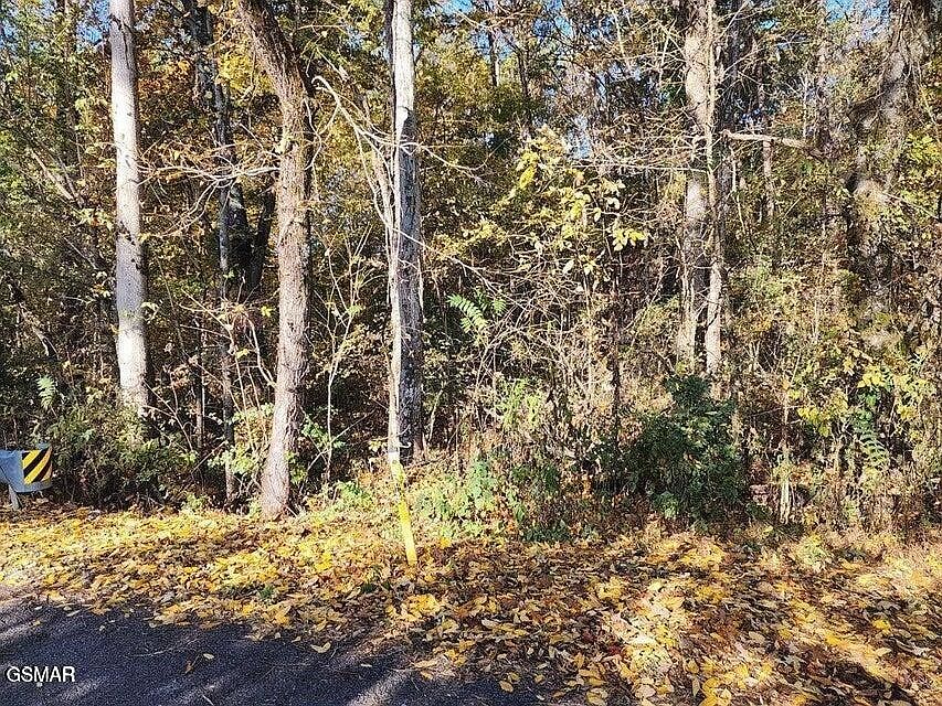1st image of 0 Briggs Rd Lot 0