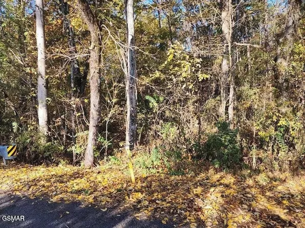 0 Briggs Rd Lot 0, Dandridge, TN 37725