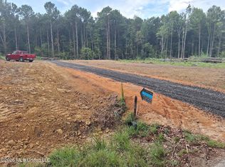 709 Old Pinola Braxton Rd, Braxton, MS 39044