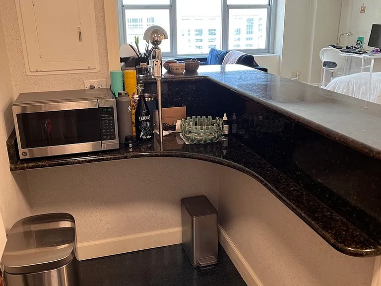 777 N Michigan Ave #2507 — Photo 7