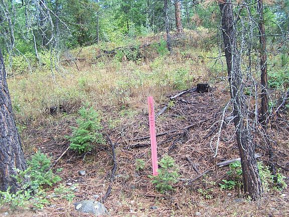 4th image of 3 Larkspur Way Lot 13