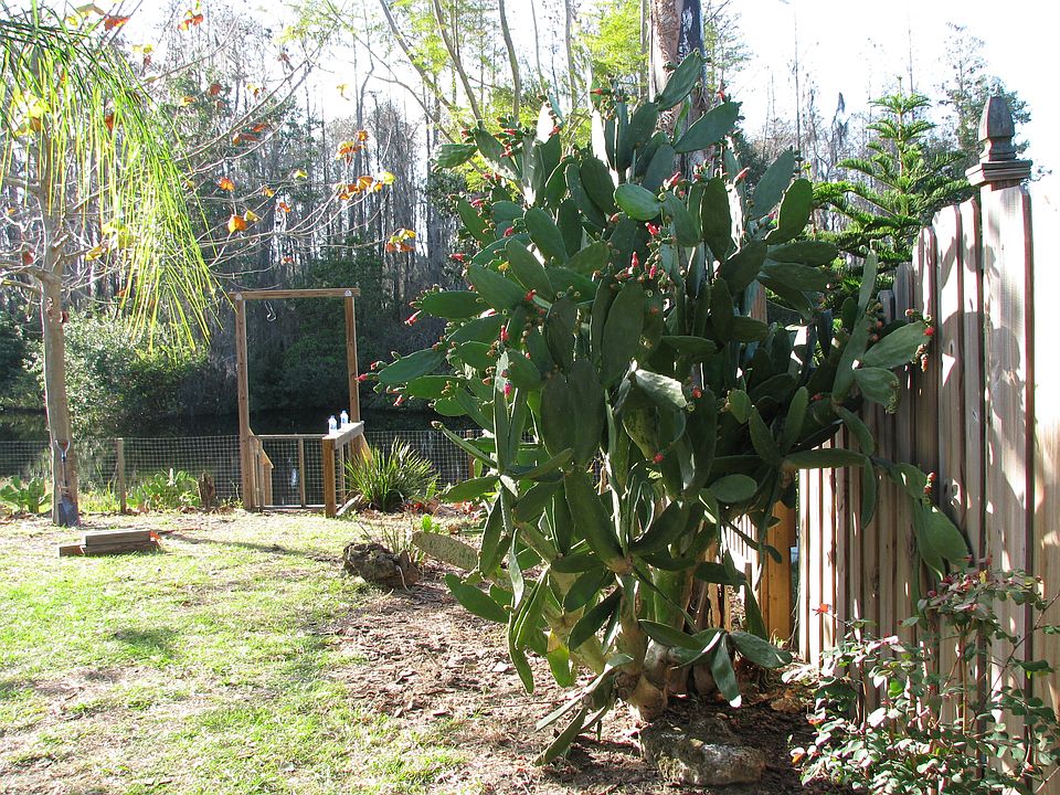 2nd image of 4305 Longshore Dr