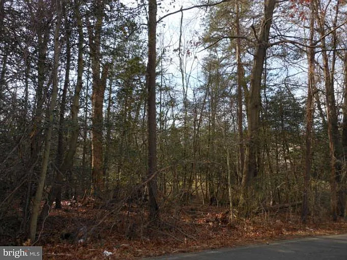 1645 Wall Dr photo 1