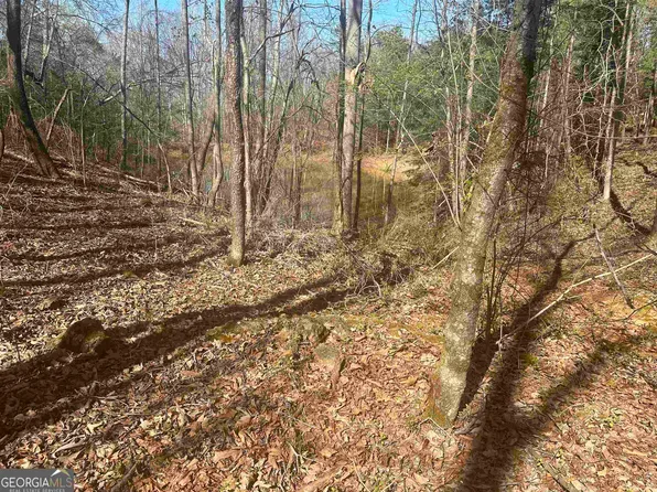 0 Bud Freeman Rd, Royston, GA 30662