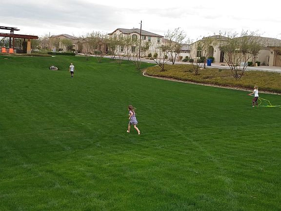 park across the street