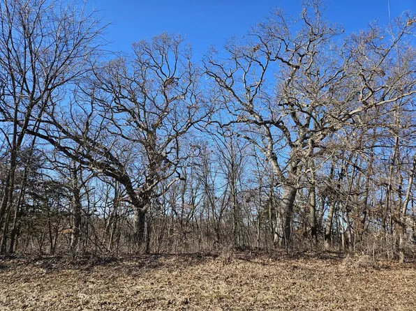 4722 W Longhollow Rd, Galena, IL 61036