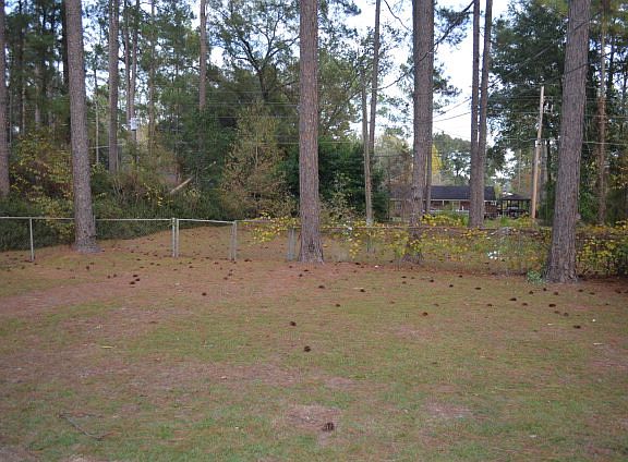 2nd image of 174 Pineridge Dr