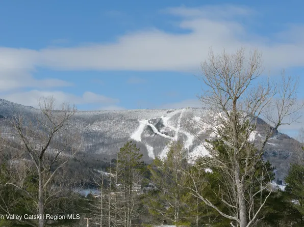 Lot 1 Ruth Court, Hunter, NY 12442