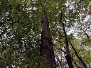 County Road 2912 #2912, Hughes Springs, TX 75656