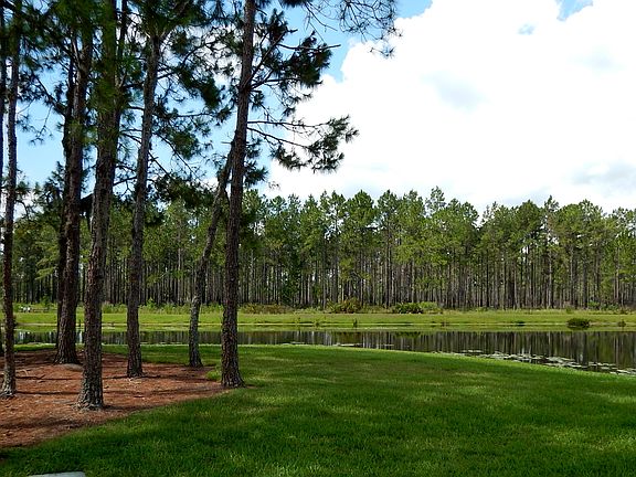2nd image of 9481 Highland Oak Dr Unit 1106