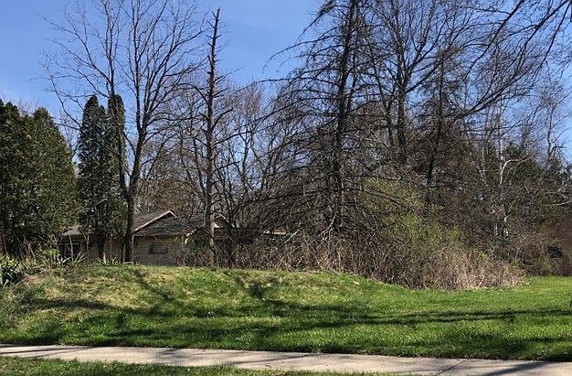 2nd image of 178 Cummings Ave SW