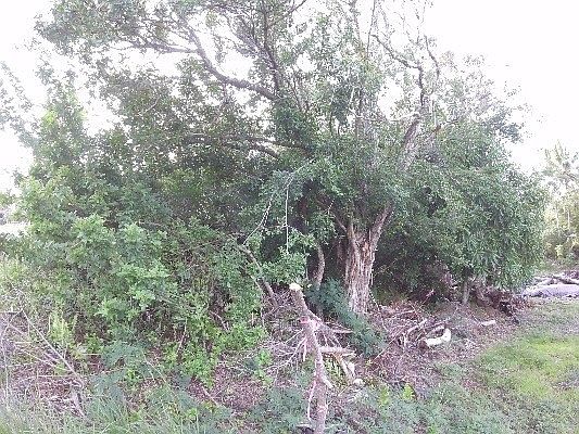 1st image of Kamelewai St Lot 165