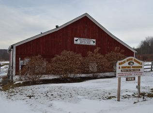 196-204 Dessecker Rd, Livingston Manor, NY 12758