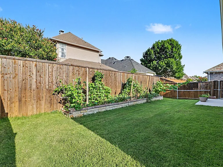 backyard - built-in garden