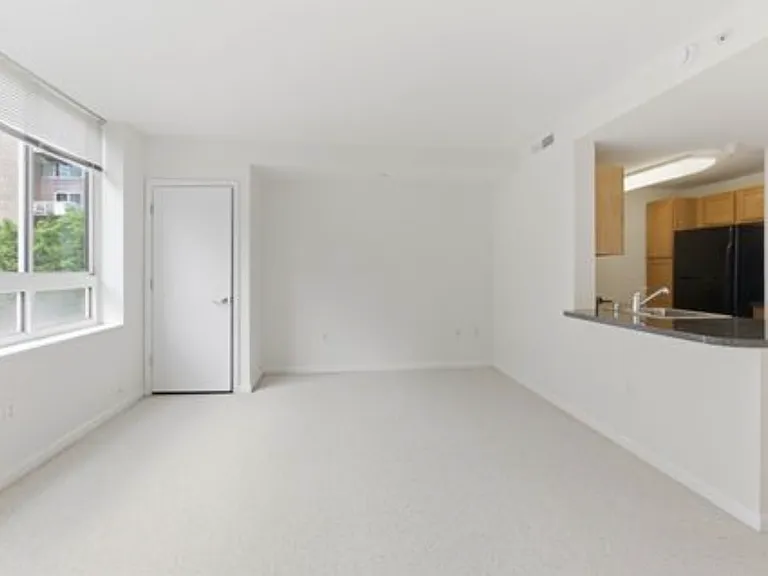 350 G St SW #N226 — Photo 4