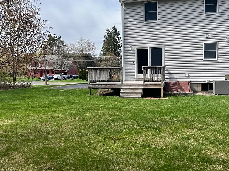 Back yard