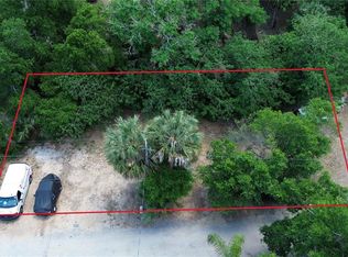Dewitt Ct, Eustis, FL 32726