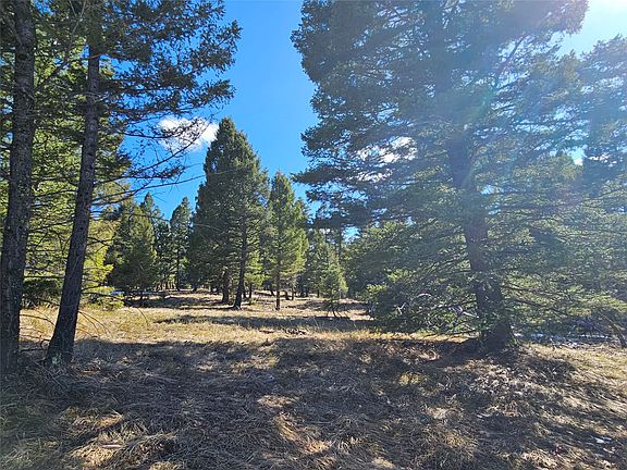 2nd image of Nhn Elk Horn Lot 28