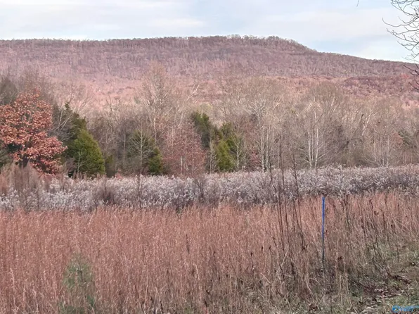 2265 Hurricane Creek Rd, Gurley, AL 35748