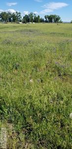 2912 Pack Saddle Dr, Saint Anthony, ID, 83445