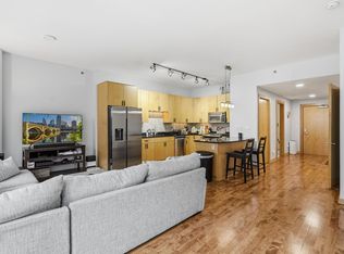 215 10th Ave S UNIT 333, Minneapolis, MN 55415