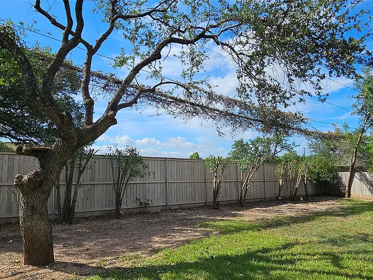 11505 Emerald Falls Dr — Photo 18