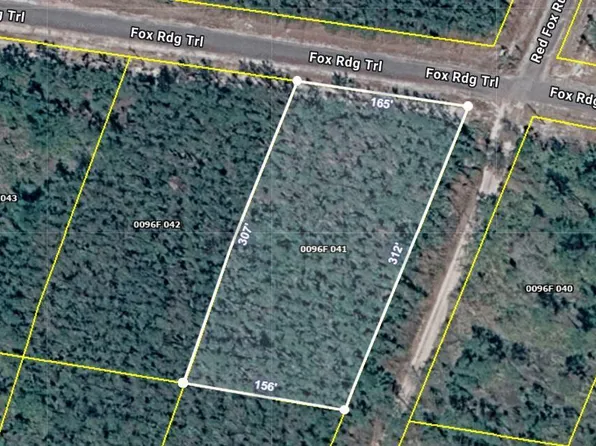 V/l 41 Fox Ridge Trl, Waynesville, GA 31566