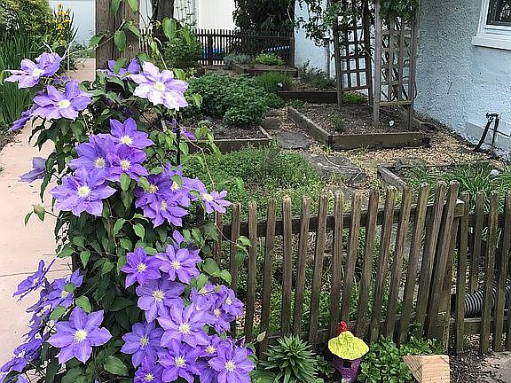 Herb garden